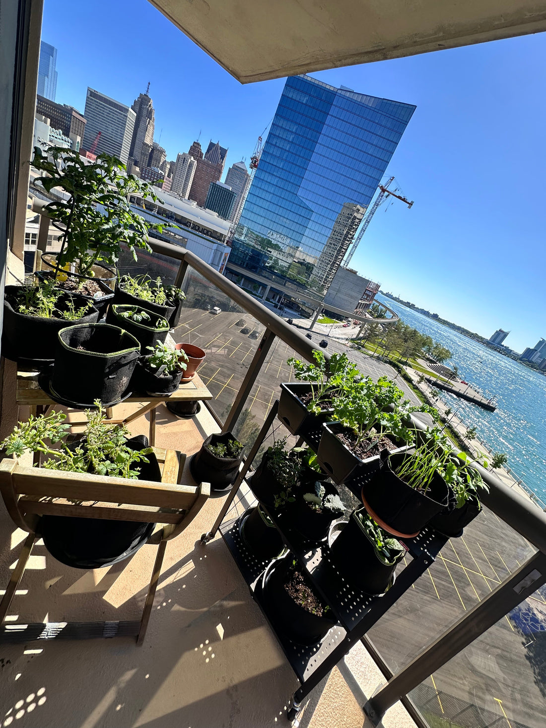 Don’t Wait for the World to Make Sense – Stay Ready