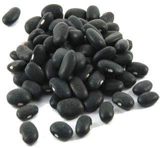 Wheatland™ Black Beans • Bulk 20lbs • Chemical Free • Turtle Beans • Farm Fresh • 25 year+ shelf life • Emergency Food Storage • Vegan • Non-GMO • Never Irradiated No desiccants • High Trust Seller • 40 Year Legacy of Prepping • 20lbs