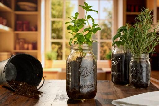 Ball Wide Mouth Glass Mason Jars with Lids and Bands, Used for Canning, Pickling, Juice, Jam, Jelly, Quart Size 32 Ounce (Pack of 2)