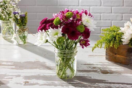 Ball Wide Mouth Glass Mason Jars with Lids and Bands, Used for Canning, Pickling, Juice, Jam, Jelly, Quart Size 32 Ounce (Pack of 2)