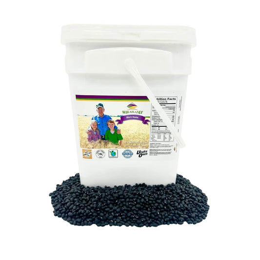 Wheatland™ Black Beans • Bulk 20lbs • Chemical Free • Turtle Beans • Farm Fresh • 25 year+ shelf life • Emergency Food Storage • Vegan • Non-GMO • Never Irradiated No desiccants • High Trust Seller • 40 Year Legacy of Prepping • 20lbs