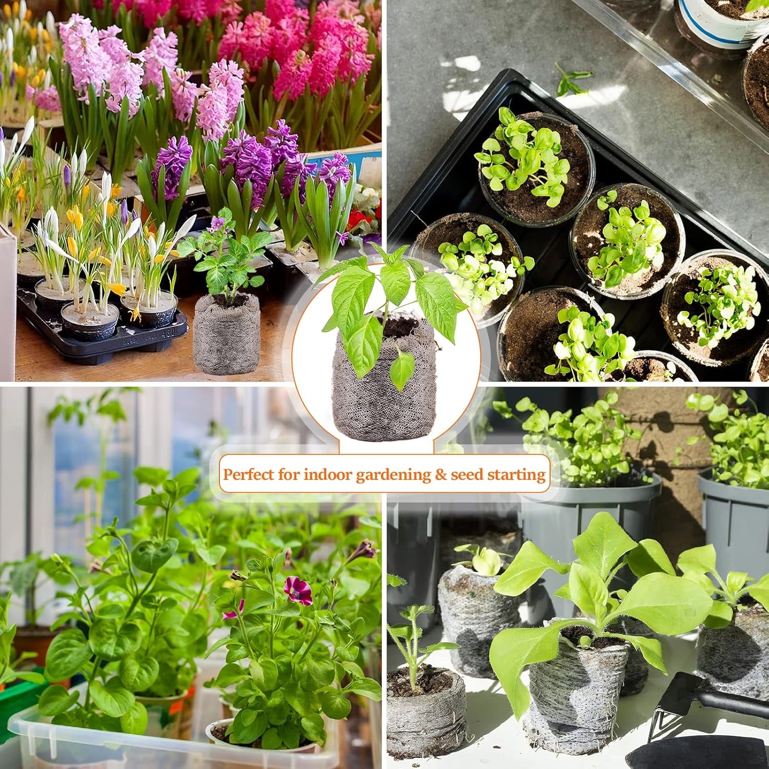 50 Pcs 30Mm Seed Starter Peat Pellets Pods for Seedlings- Compressed Seed Starting Pellets Seed Starter Pods Plugs Soil Peat Pods for Starting Seeds, Garden Planting Herb Flower Vegetables