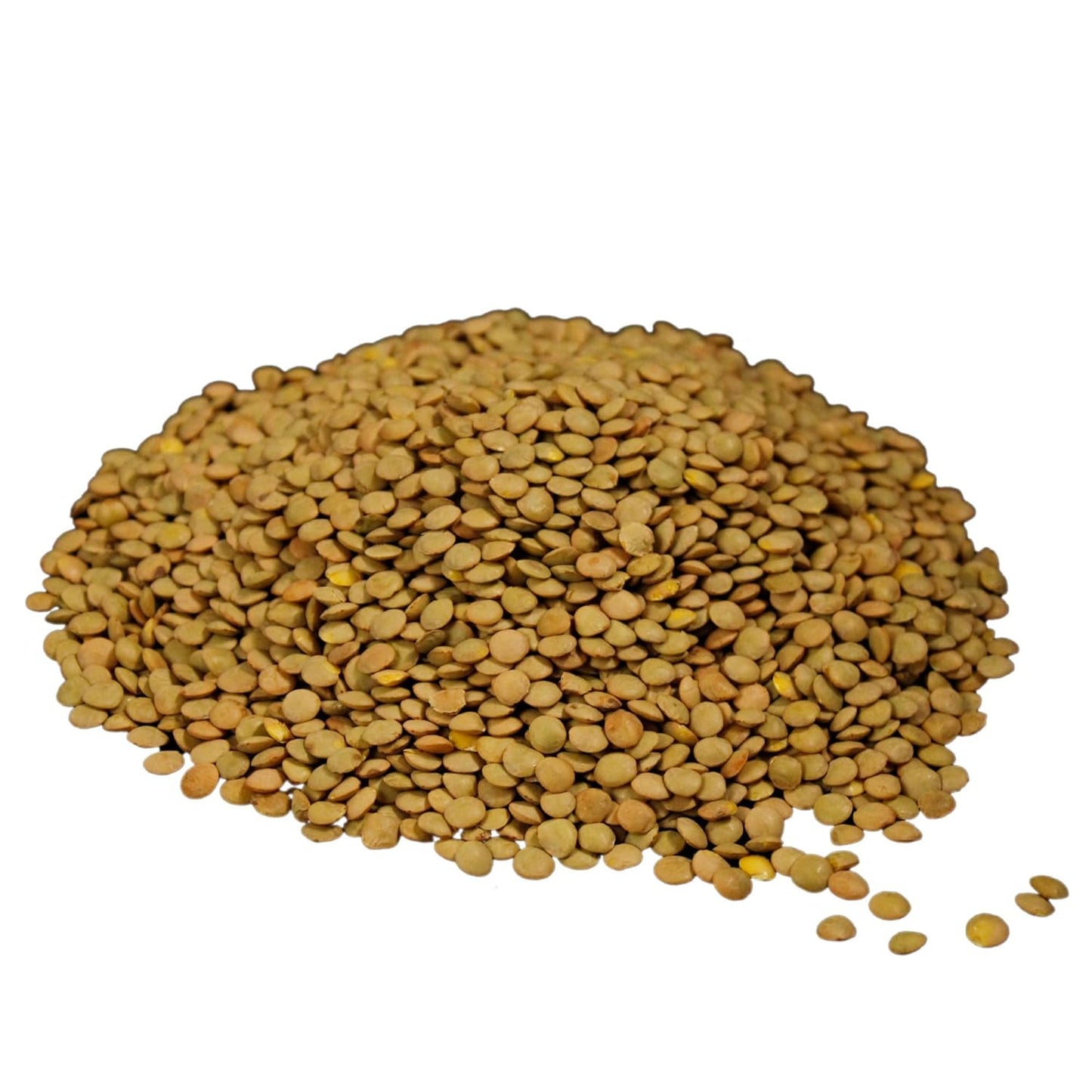 Wheatland™ Lentils • 20lb • Mylar, Oxygen Absorber and Bucket Provide 25 Year Shelf Life • Lab Tested ISO 17025 Verified Chemical-Free • Never Irradiated, No Desiccants and Non GMO • High Trust Seller • Emergency Food Storage• Wheatland 40 Year Legacy
