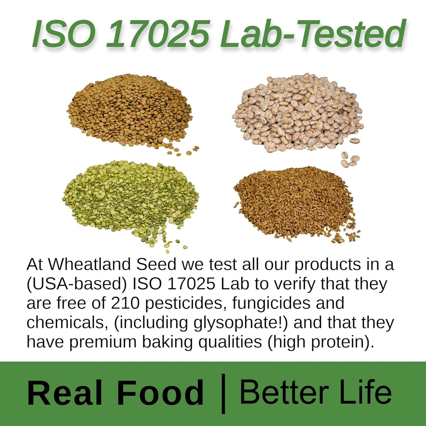 Wheatland™ Red Kidney Beans • Farm Fresh • Mylar, Oxygen Absorber and Bucket Provide 25 Year Shelf Life • Lab-tested ISO 17025 Verified Chemical-Free • Never Irradiated, No desiccants and Non GMO • High Trust Seller • Emergency Food Storage 40 Year Legacy