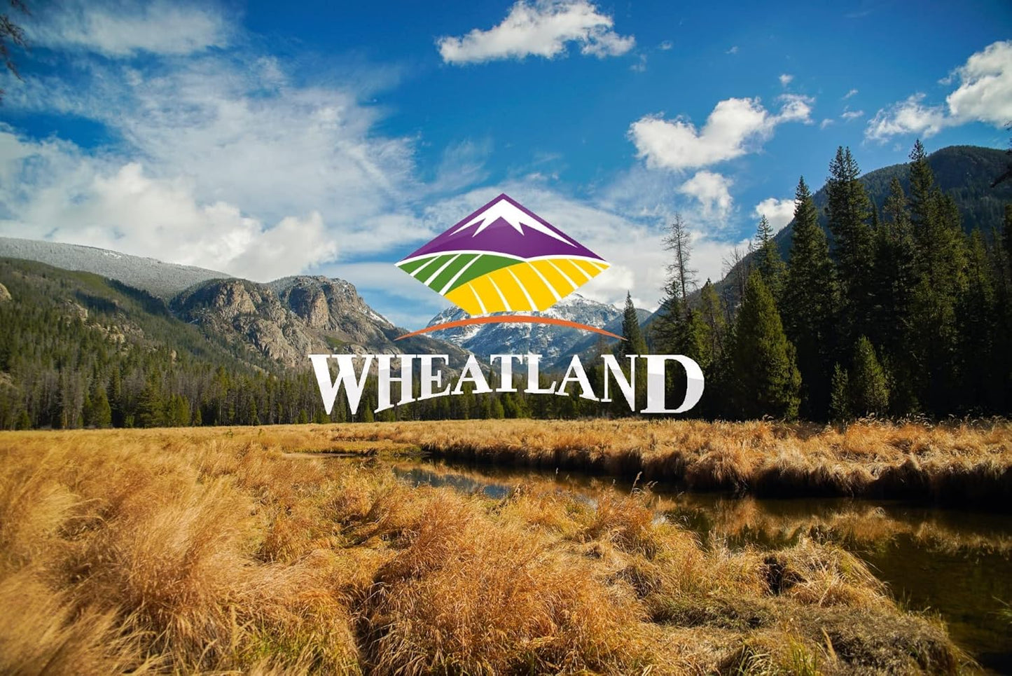 Wheatland™ Black Beans • Bulk 20lbs • Chemical Free • Turtle Beans • Farm Fresh • 25 year+ shelf life • Emergency Food Storage • Vegan • Non-GMO • Never Irradiated No desiccants • High Trust Seller • 40 Year Legacy of Prepping • 20lbs