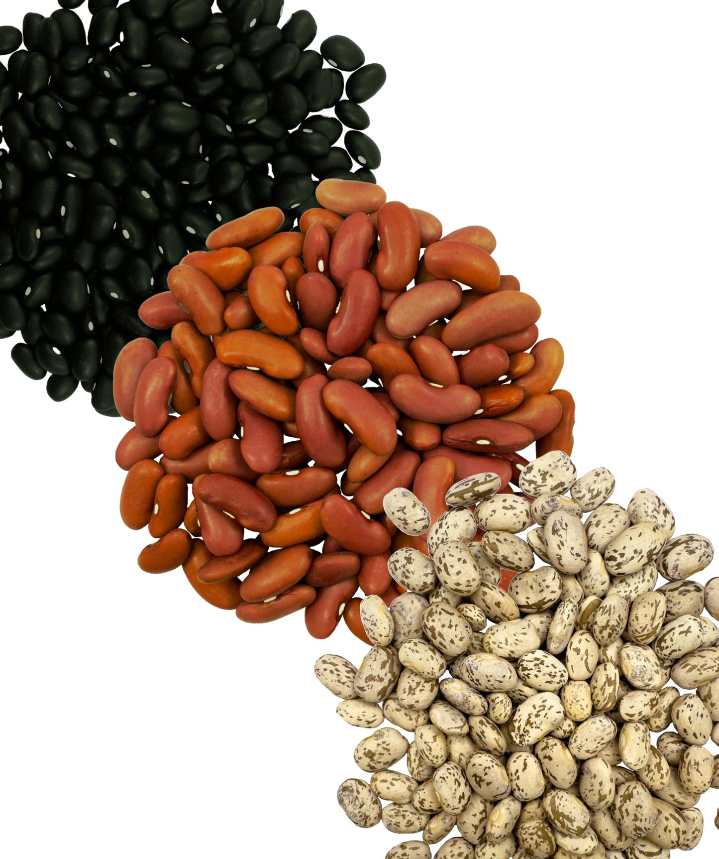 Palouse Brand Certified Glyphosate Residue Free Pinto Beans | 4 lbs | Non-GMO | Kosher